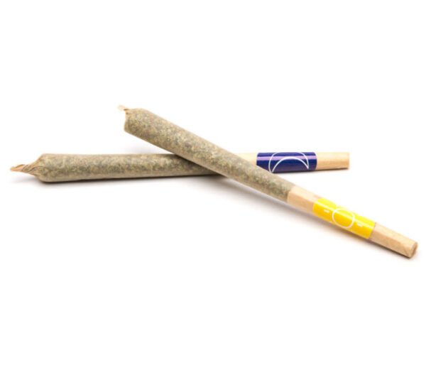 Buy Pre-Roll Joints in Dubai