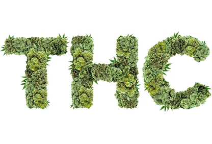 Buy High THC Weed