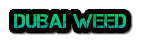 buyweediindubai.com
