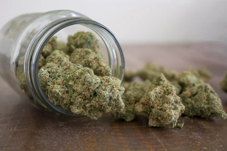 Exploring Dubai’s City From Vaping to CBD – Your Guide to Marijuana Options for Tourists